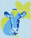 blue heifer