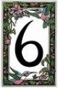 6-flower.jpg