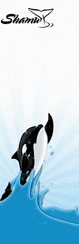 Shamu Twitter.jpeg