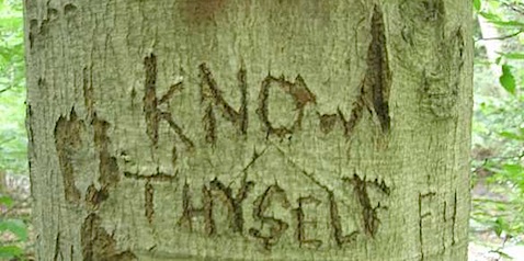  know theyself carved in tree.jpeg