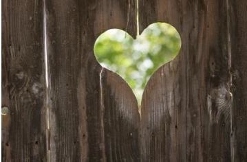 heart on wood.jpg