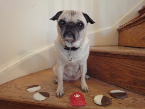 pug cookies